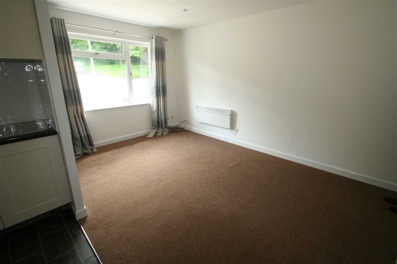 Ketelbey Rise, Basingstoke, Hampshire - Picture 4
