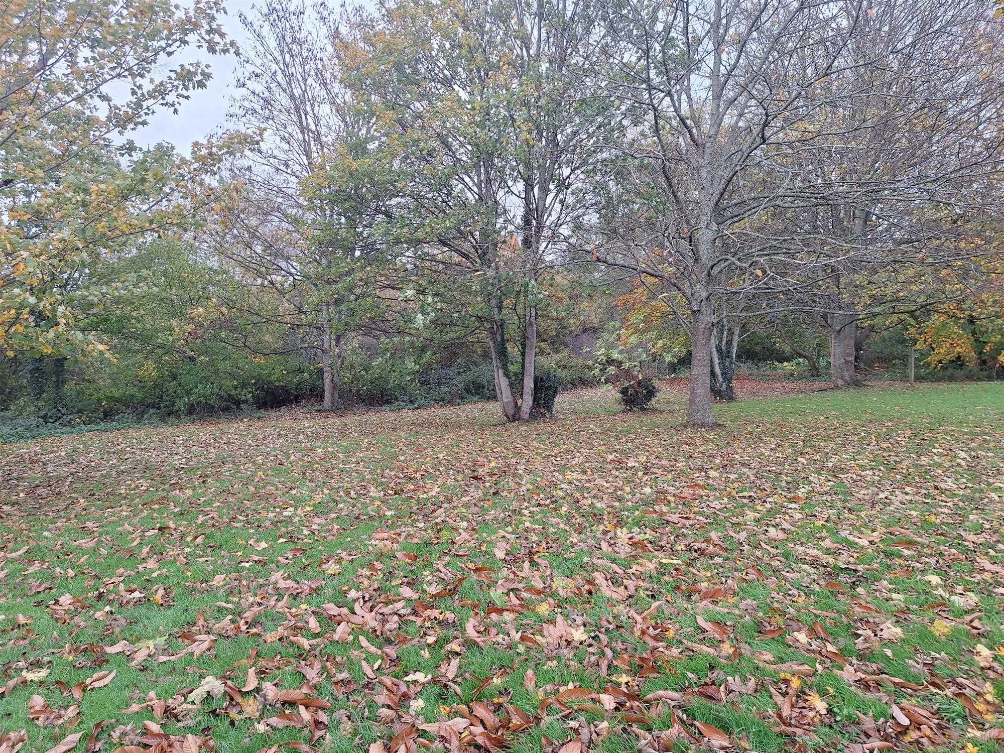 Srokins Road, Kinsclere - Picture 9