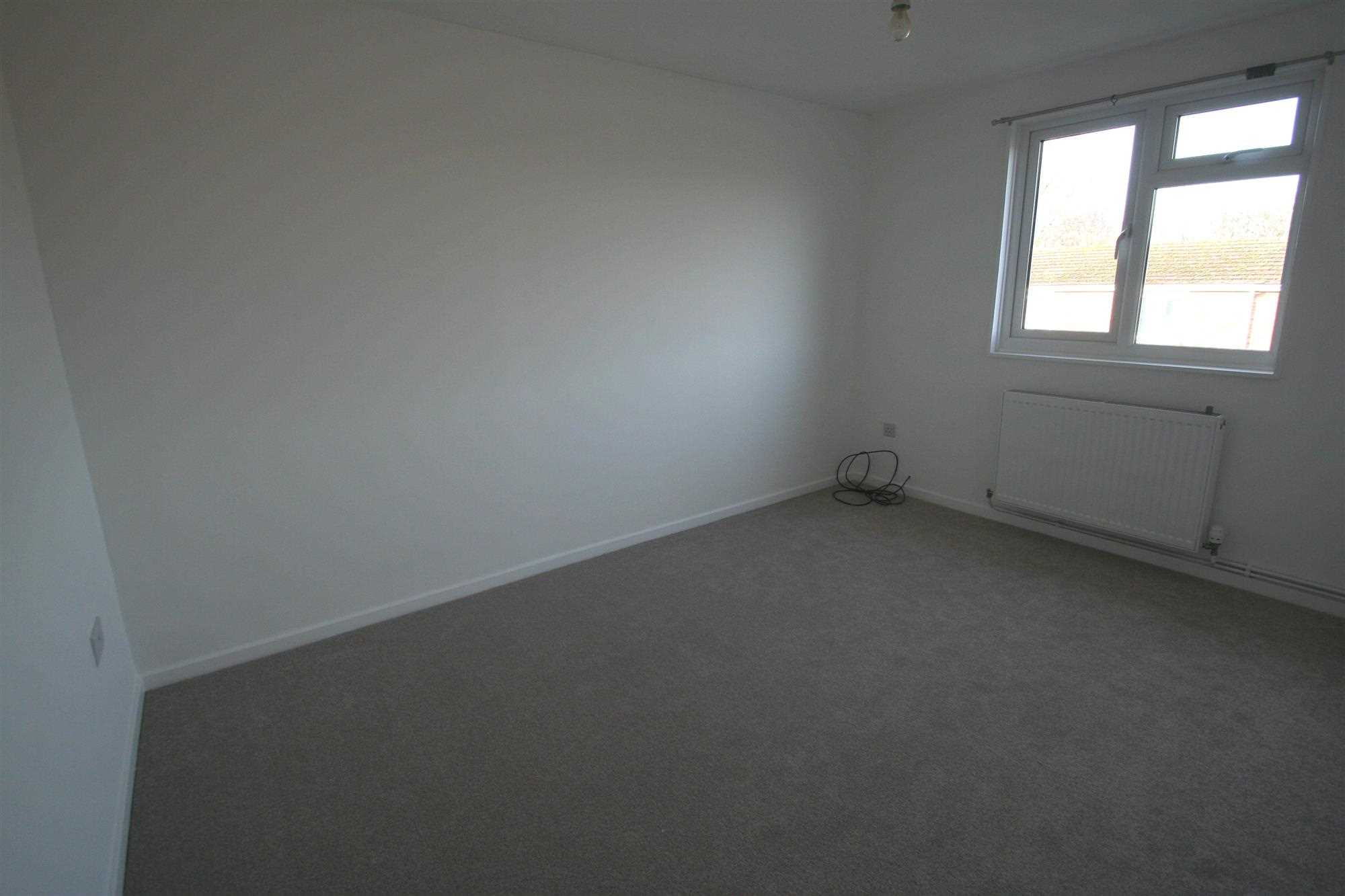 Black Dam, Basingstoke - Picture 7